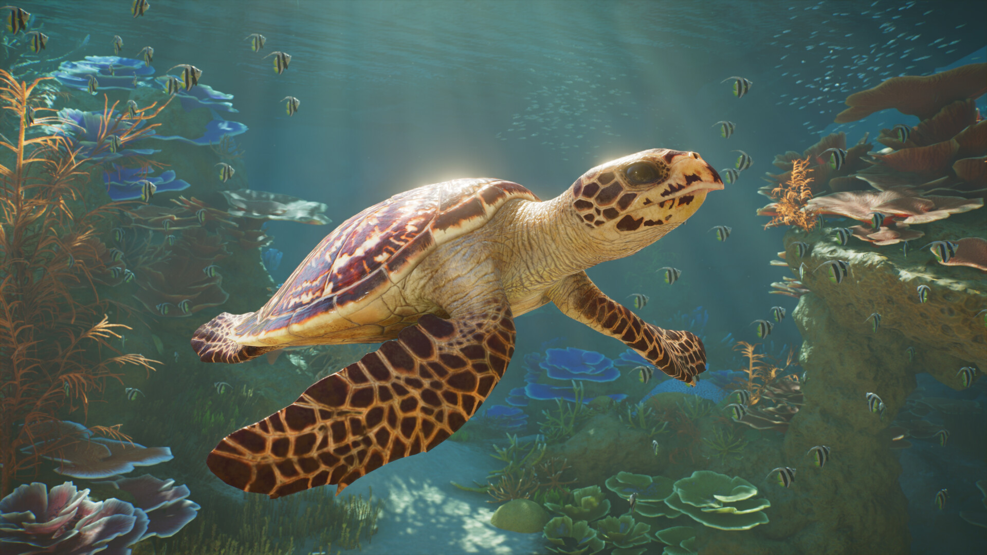 Official Planet Zoo 2 screenshot of a sea turtle swimming among fish
