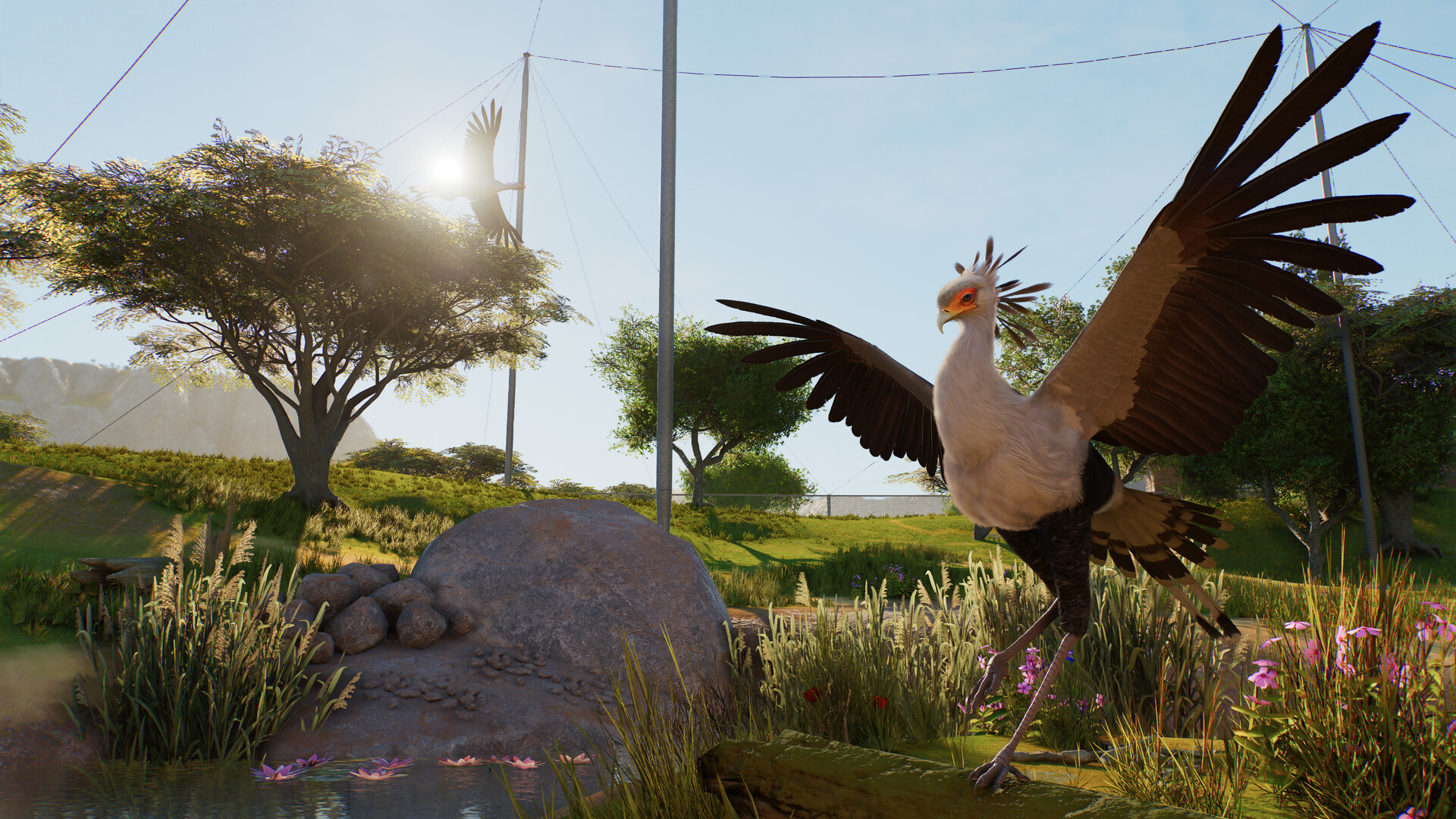 Official Planet Zoo 2 screenshot of a bird spreading its wings in an enclosure