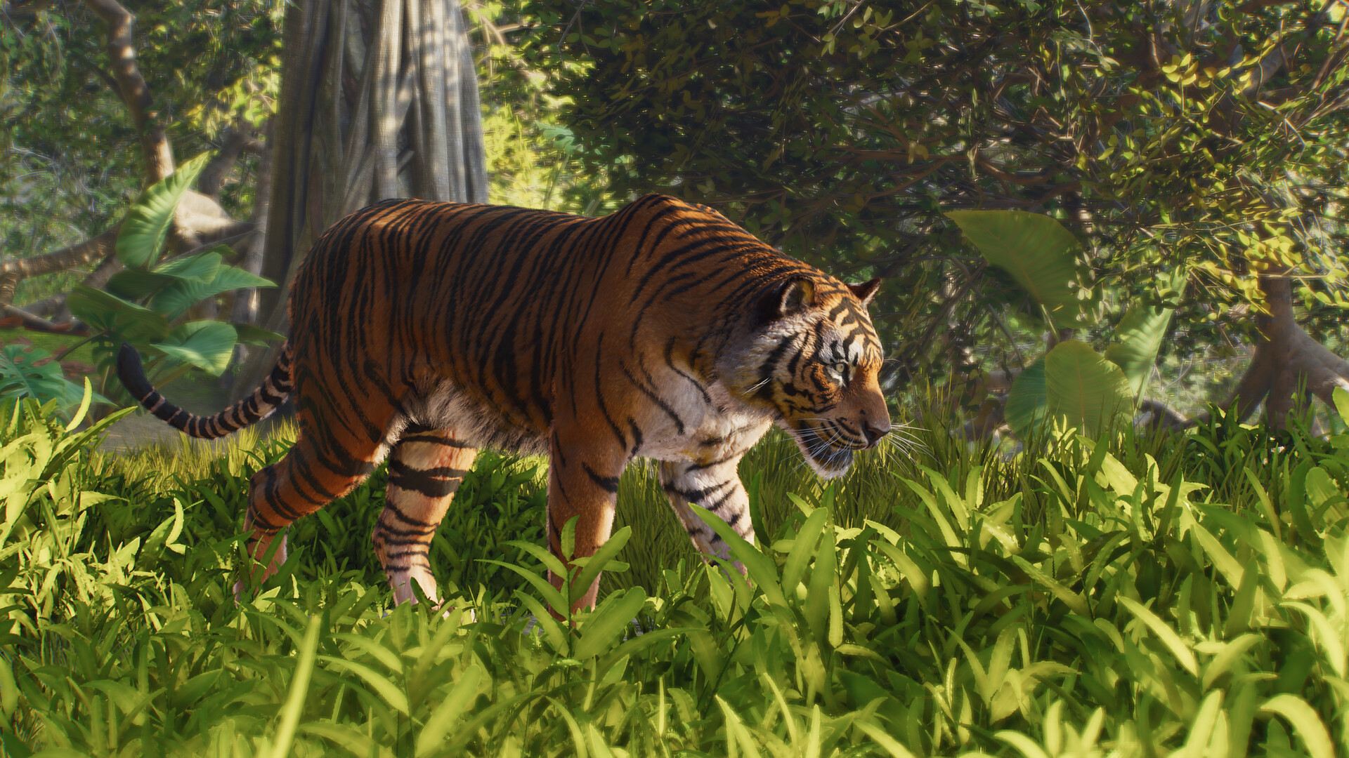 Official Planet Zoo 2 close-up of a tiger in dense green foliage