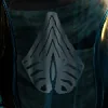 Second vessel: Brood Mother glyph — 20 kills.